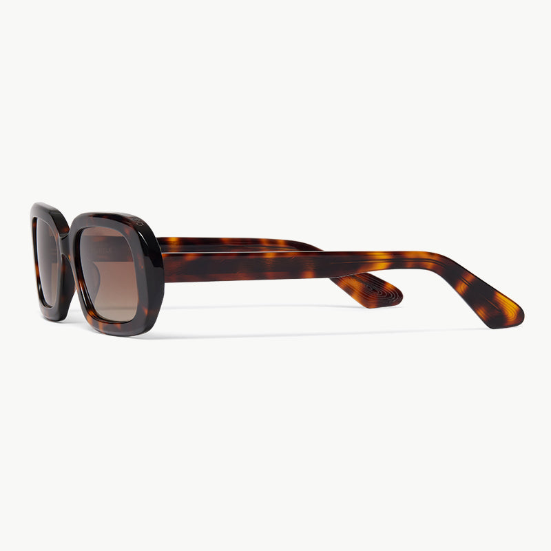 Tigers Eye